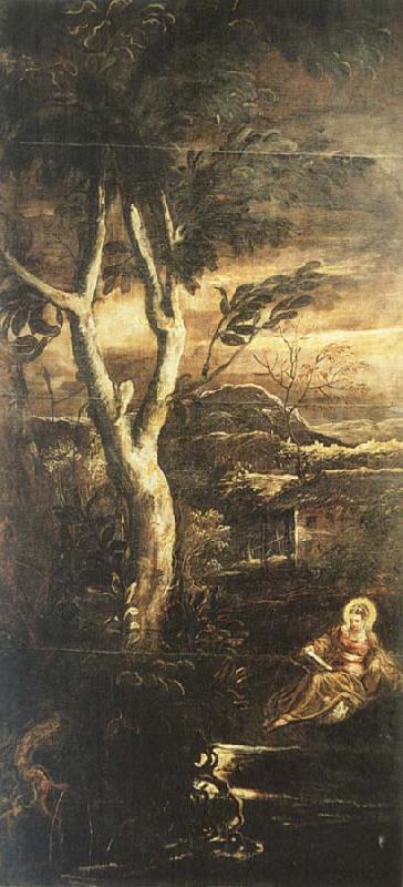 TINTORETTO, Jacopo Mary Magdalene oil painting picture